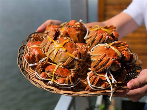 重庆阳澄湖大闸蟹 重庆阳澄湖大闸蟹