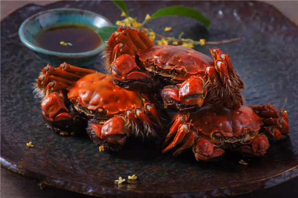 当你大闸蟹买多了吃不完怎么办?重庆蟹之都给你说说三种方法,保证螃蟹保存一周还是活蹦乱跳? 当你大闸蟹买多了吃不完怎么办?重庆蟹之都给你说说三种方法,保证螃蟹保存一周还是活蹦乱跳?