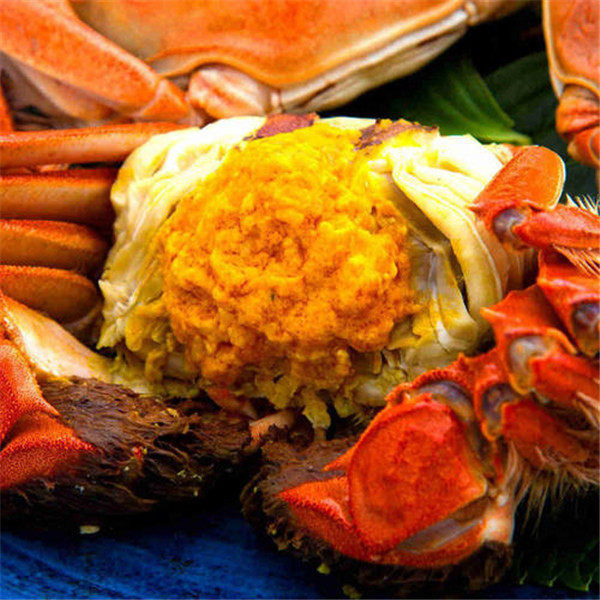 你了解阳澄湖大闸蟹的营养及药用价值吗? 你了解阳澄湖大闸蟹的营养及药用价值吗?